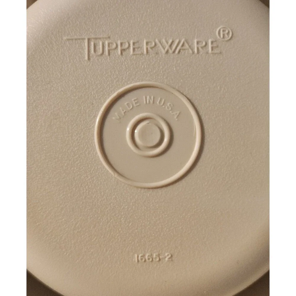 Tupperware 2 Pc Veggie Party Tray with Lid